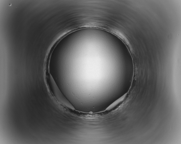 X0000088221138200705292108