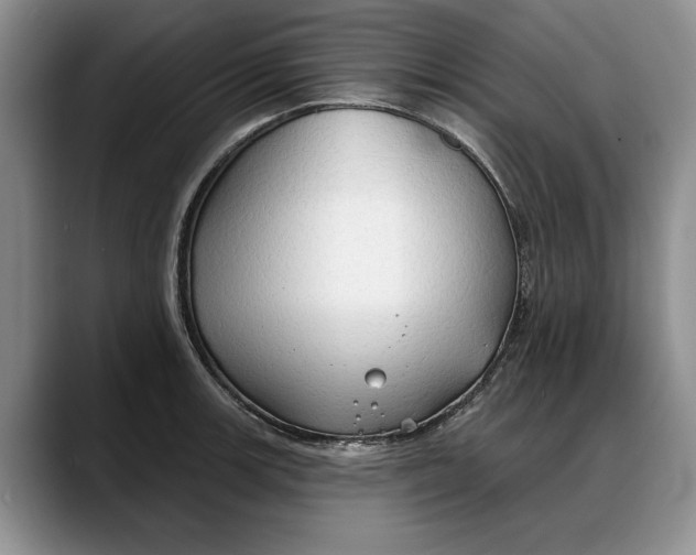 X0000088221139200705292108