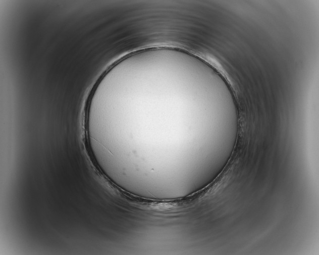 X0000088221140200705292108