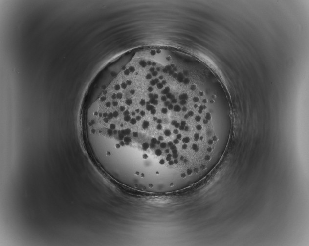 X0000088221141200705292108