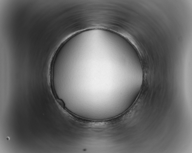 X0000088221143200705292108