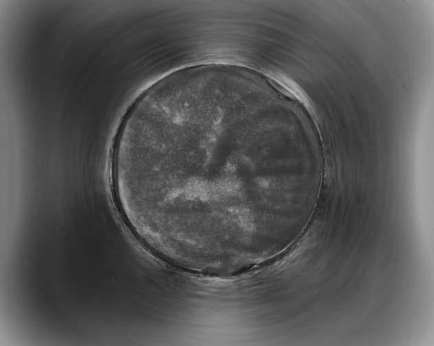 X0000088221144200705292108