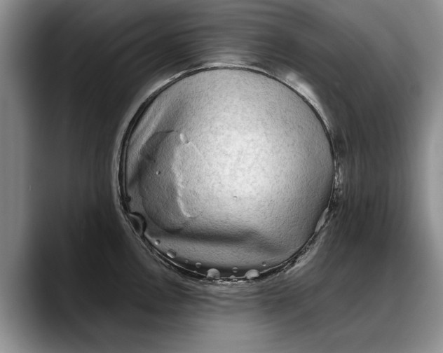 X0000088221146200705292108