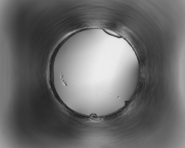 X0000088221147200705292108