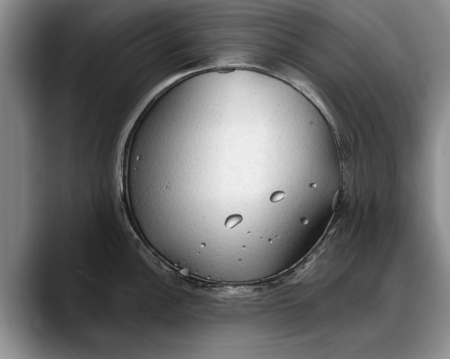 X0000088221148200705292108