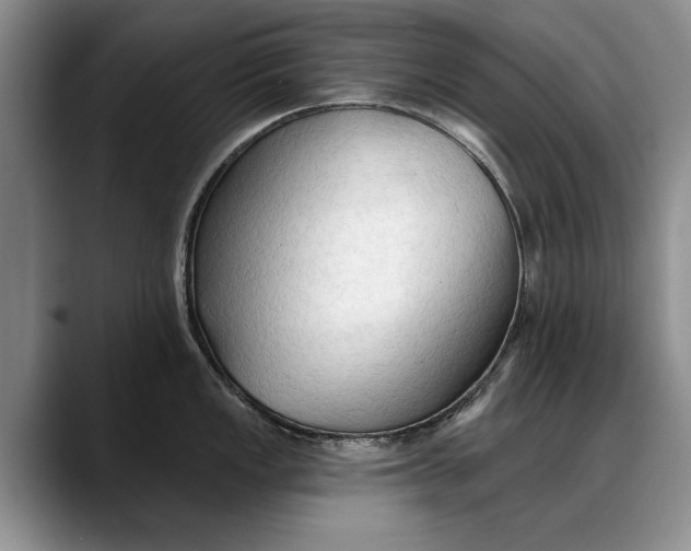 X0000088221149200705292108