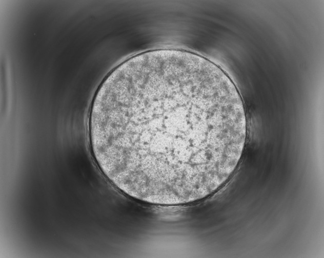 X0000088221150200705292108