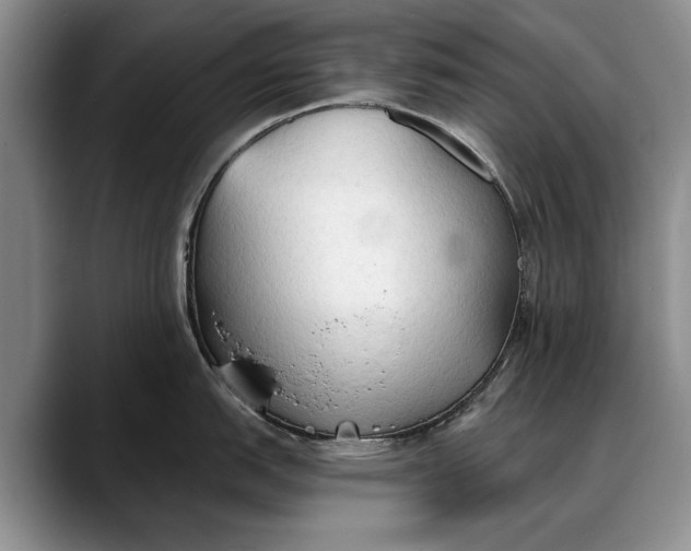 X0000088221151200705292108