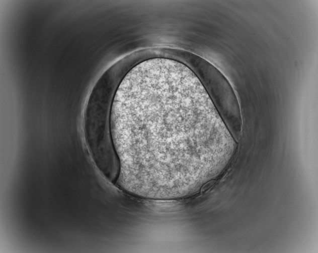 X0000088221152200705292108