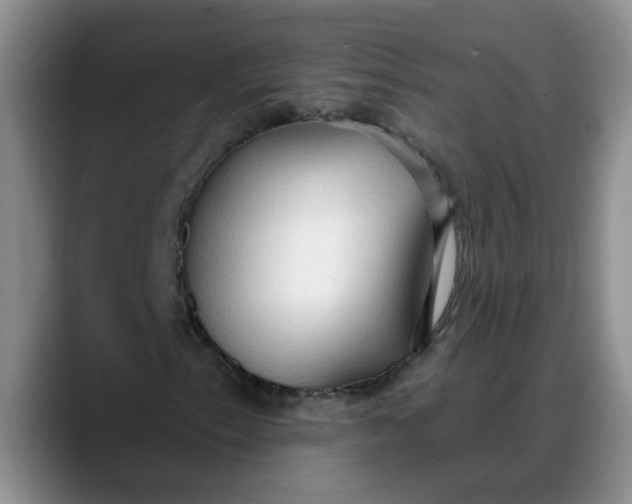 X0000088221153200705292107