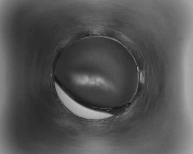 X0000088221155200705292107