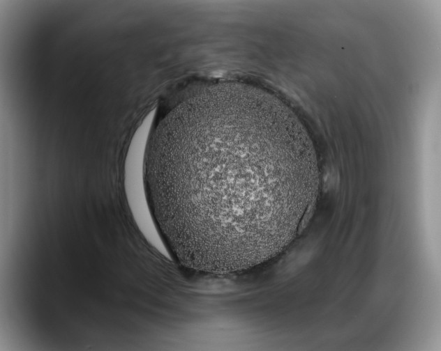 X0000088221156200705292107