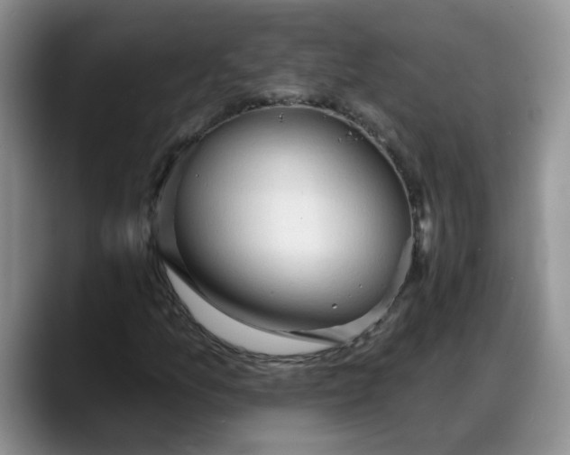 X0000088221157200705292107