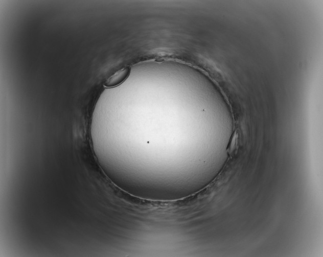 X0000088221158200705292107