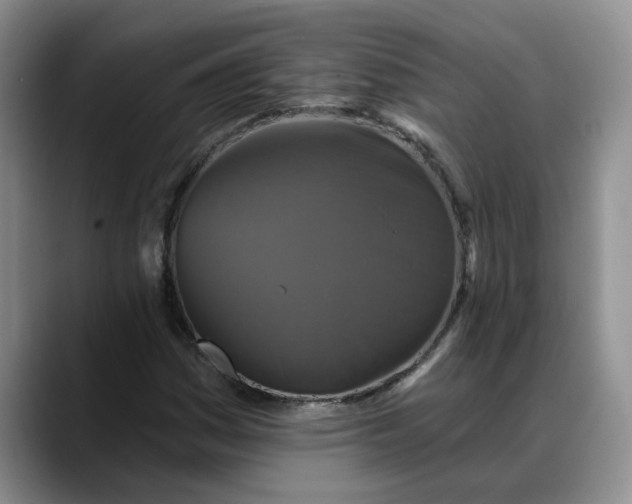 X0000088221161200705292107