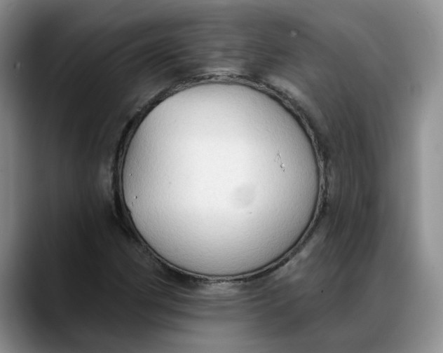 X0000088221162200705292107