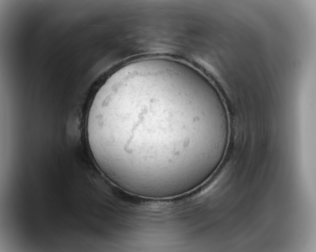 X0000088221163200705292107