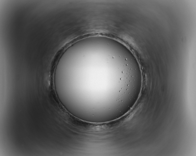 X0000088221165200705292107