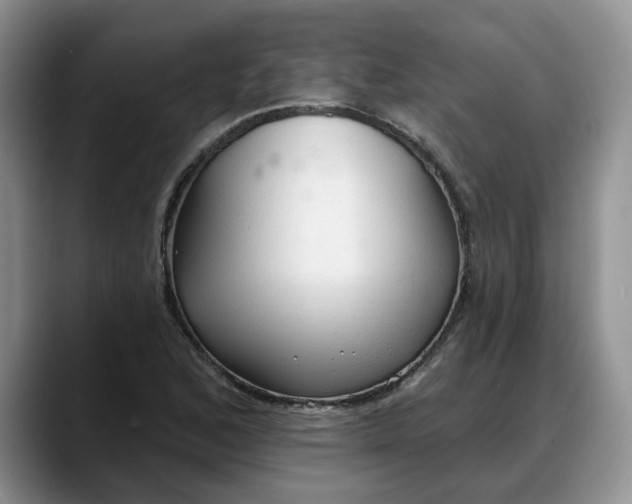 X0000088221168200705292107