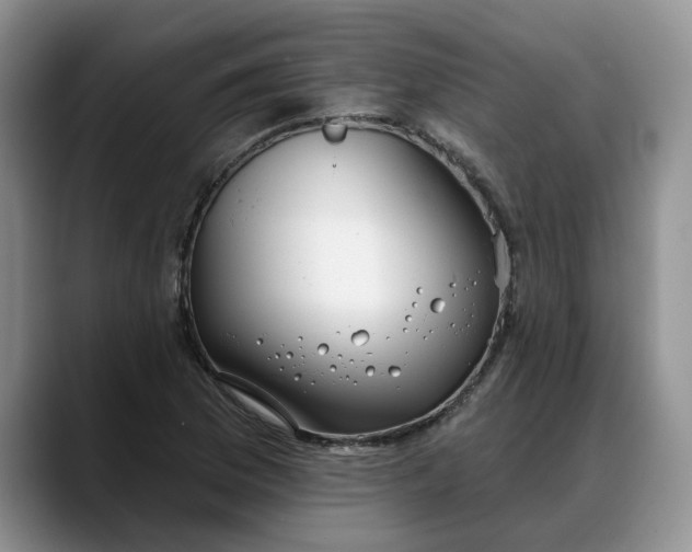 X0000088221169200705292107