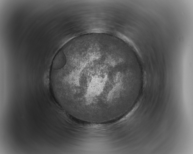 X0000088221170200705292107