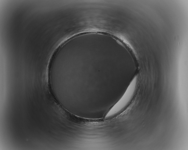 X0000088221173200705292107