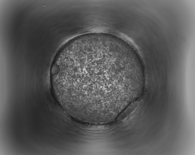 X0000088221174200705292107