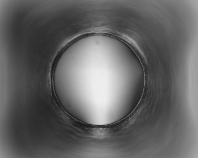 X0000088221176200705292107