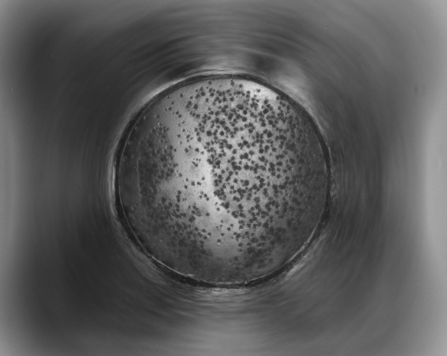 X0000088221179200705292107