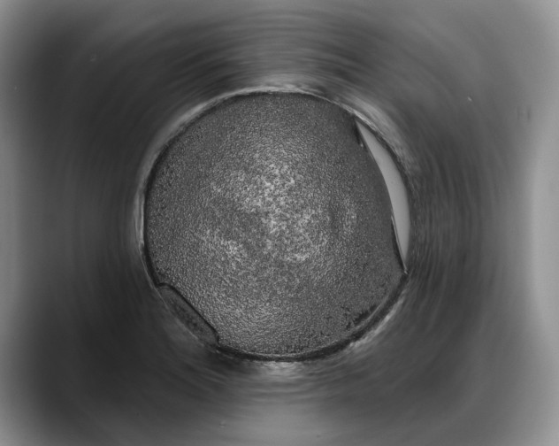 X0000088221180200705292107