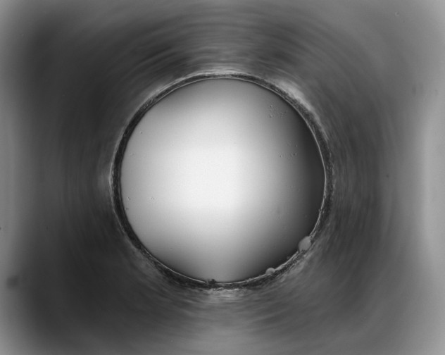 X0000088221181200705292107