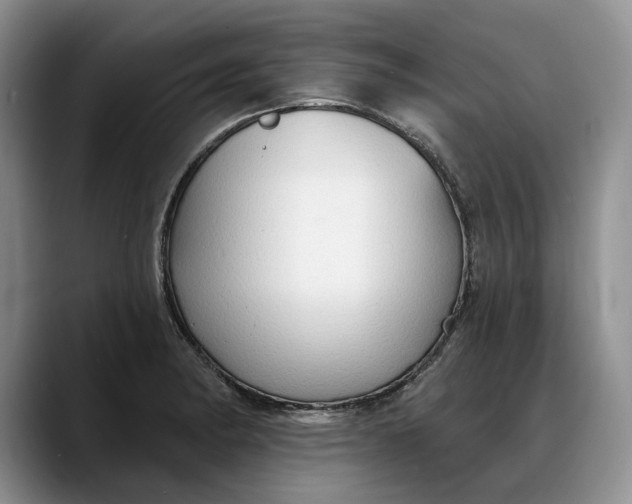 X0000088221182200705292107