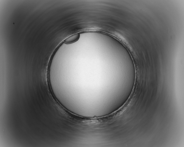 X0000088221186200705292107