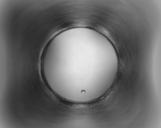 X0000088221187200705292107