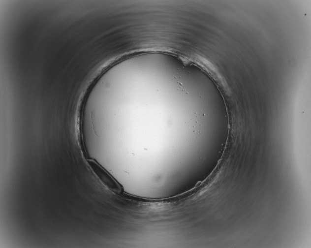 X0000088221188200705292107