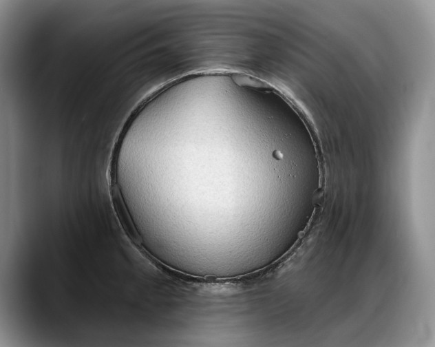 X0000088221189200705292107