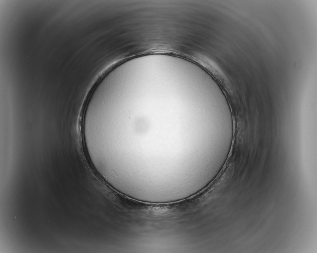 X0000088221190200705292107