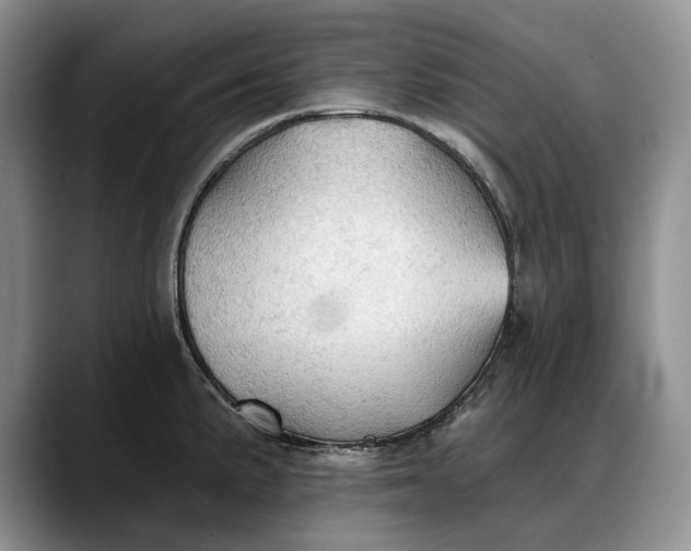 X0000088221191200705292107