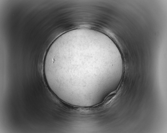 X0000088221194200705292107