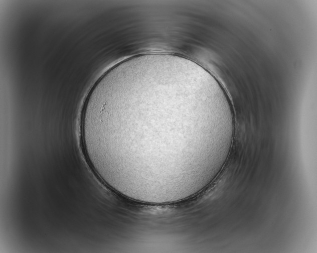 X0000088221195200705292107