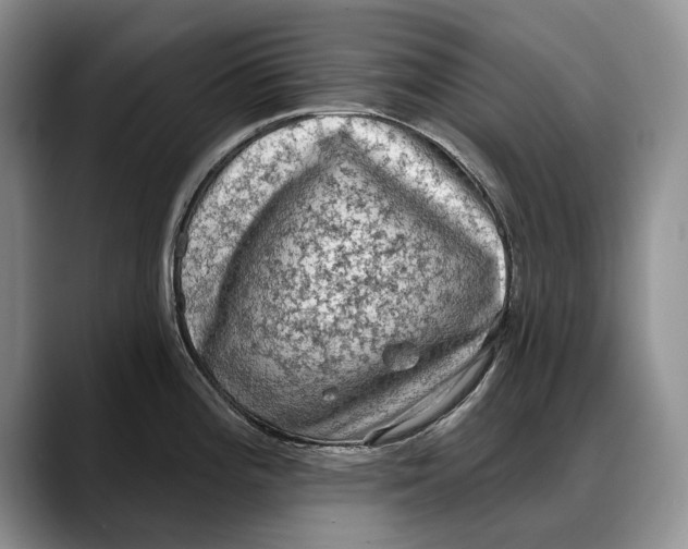 X0000088221196200705292107