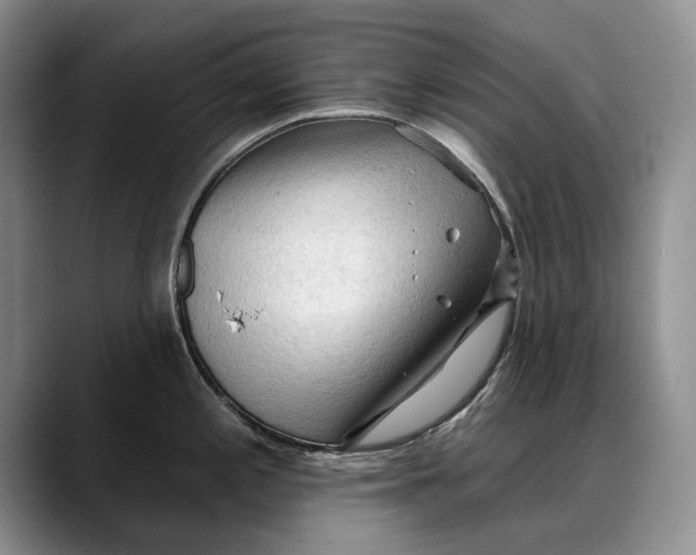 X0000088221197200705292107