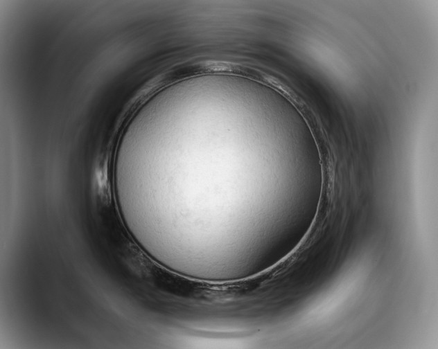 X0000088221198200705292107