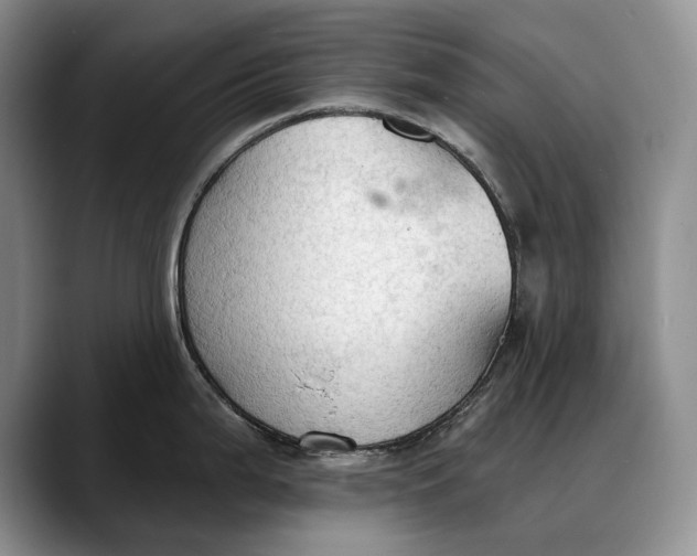 X0000088221199200705292107