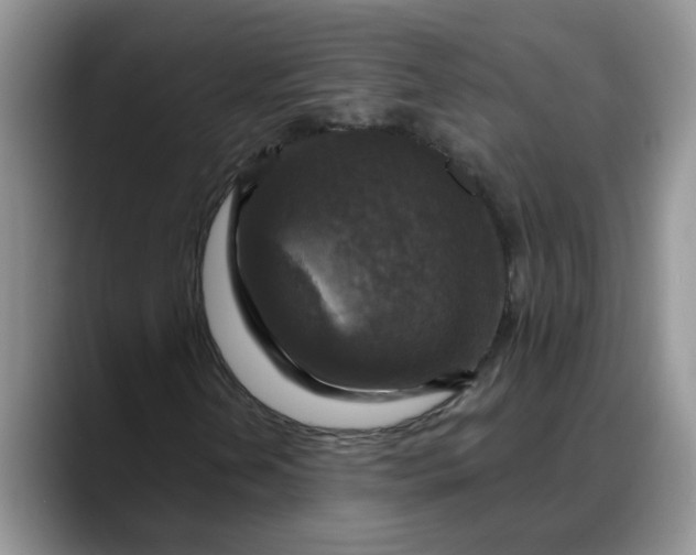 X0000088221202200705292106