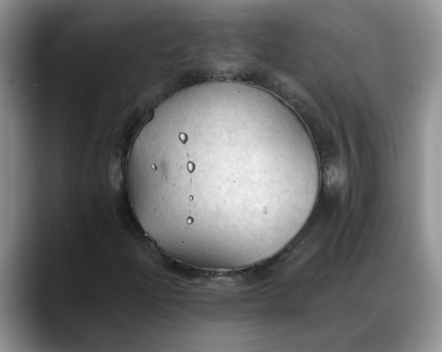 X0000088221204200705292106