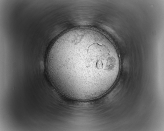 X0000088221209200705292106