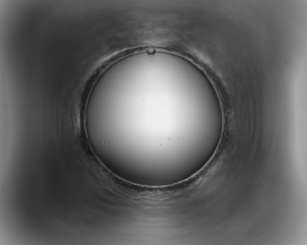 X0000088221214200705292106