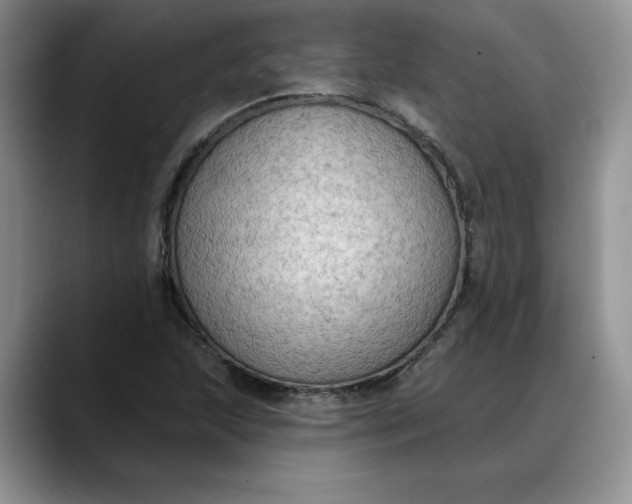 X0000088221215200705292106