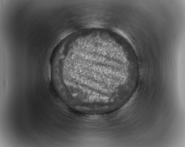 X0000088221219200705292106